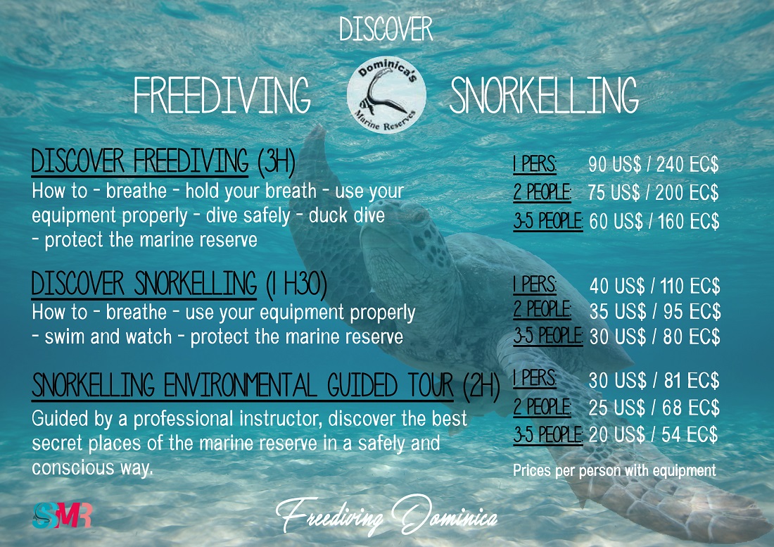 Freediving Dominica - Discover & Protect prices