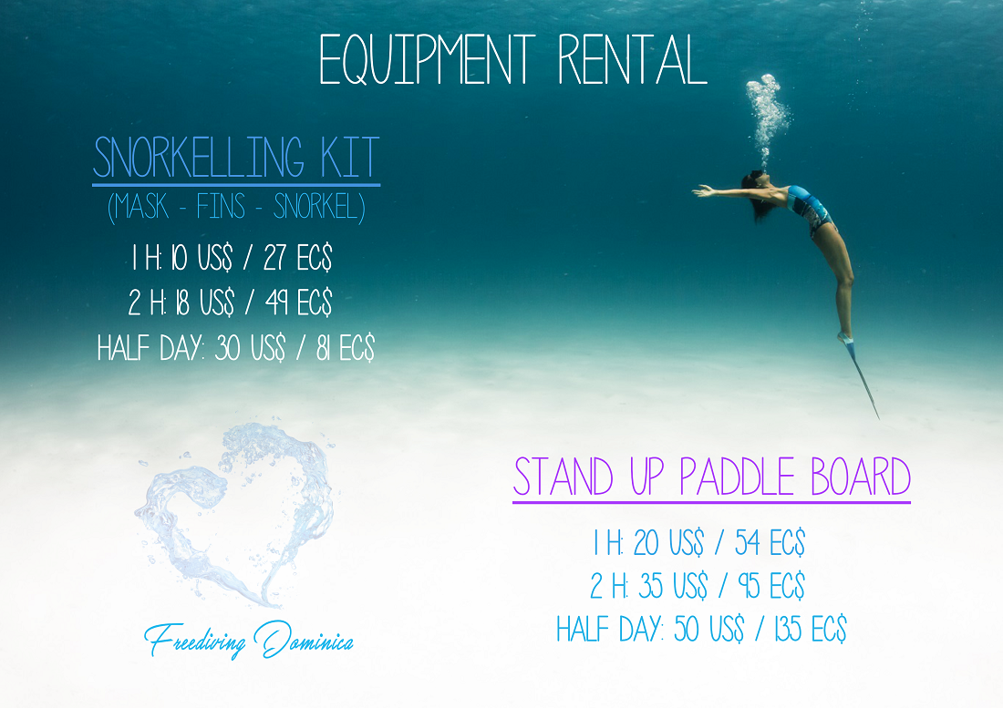 Freediving Dominica - Equipment Rental Prices