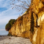 The Cliffs of Encinitas