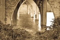 Monochrome and Selective Color