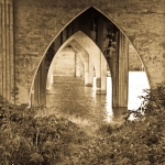Under the Bridge