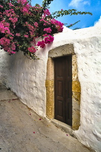 Bougainvillea Door