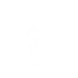gorilla-img2