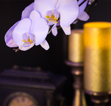 Reset-Day-Spa-Experience_Luxurious_Content-Image